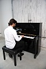 Пианино «Мелодия», модель 120 Special Edition